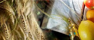 ShavuotiSPIRITHeaderBig-opt (1)