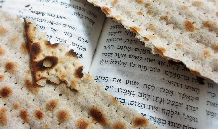 The Passover Lamb in the Seder and for…