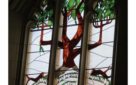 stained glass window of olive tree from Christ Church